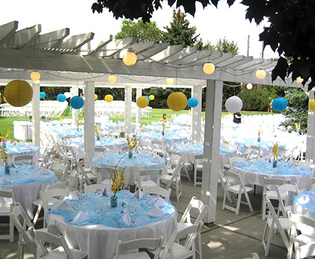 Organza Overlay