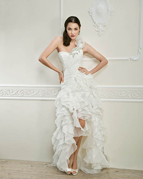 Sheath Organza Dress