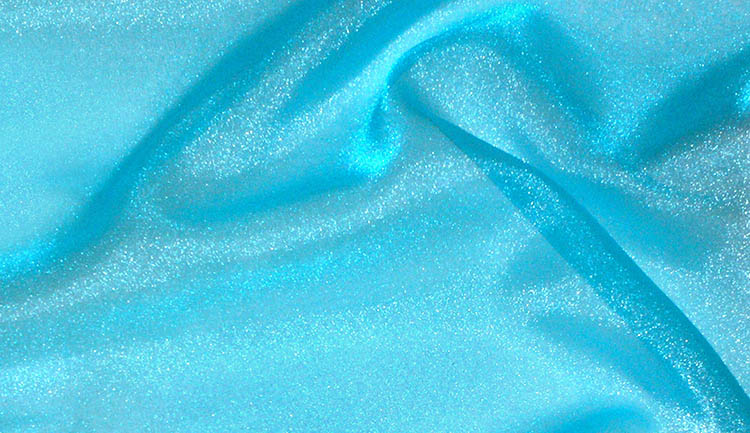 Sparkled Organza
