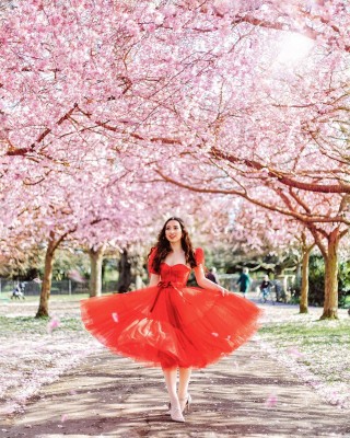 fairy princess red tulle short cocktail homecoming dress