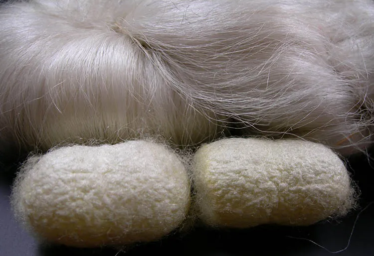 ancient Chinese silk worm