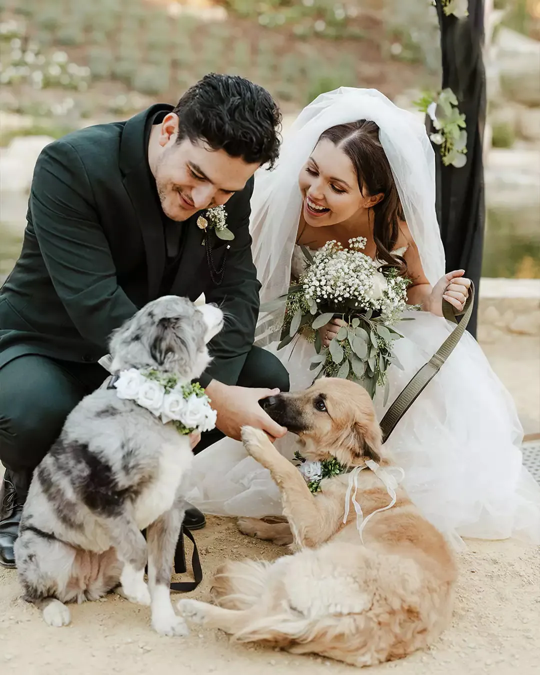 Samantha Hanratty outdoor bridal dress Samantha Hanratty outdoor bridal dress