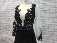 sheer plunging lace top with long sleeves