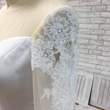sheer lace sleeve