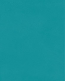 teal color