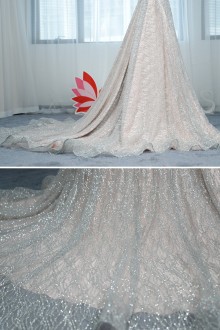 Sparkly Silver Prom Dress with Long Train