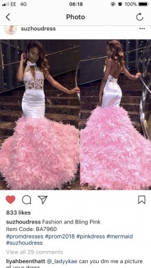 pink dress with feather long train