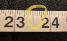 60123f9a81272