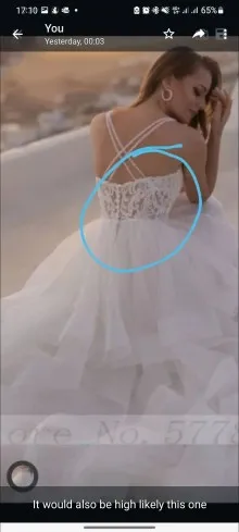 illusion back