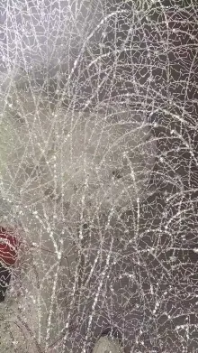 QQ图片20230531164730