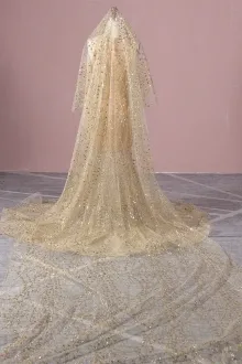 custom beading prom dress with a long train veil