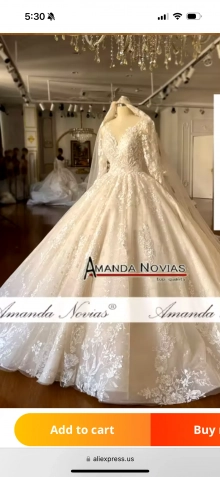Amanda Novias bridal dress