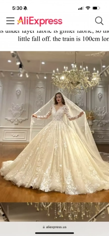 Amanda Novias wedding dress