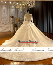 Amanda Novias wedding dress with a long train