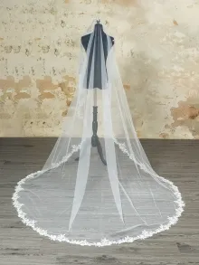 beaded cathedral length mantilla veil