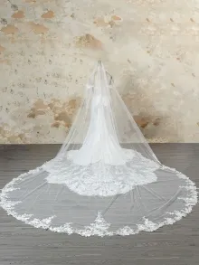 long train wedding dress with a veil