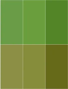 RV Dress design greens alone