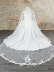 plus size lace wedding ball gown with veil