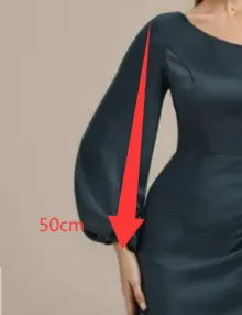 mceclip0