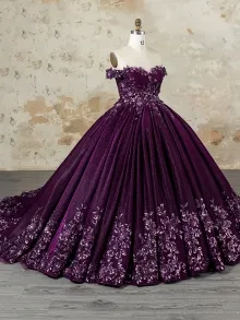 Lunss floral applique plum glitter ball gown