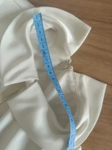 mceclip0