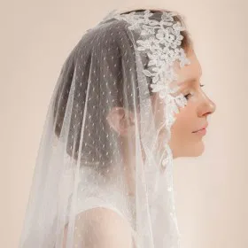 gorgeous lace decorated single tier dotted tulle chapel bridal veil
