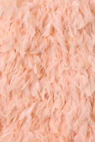 feather skirt