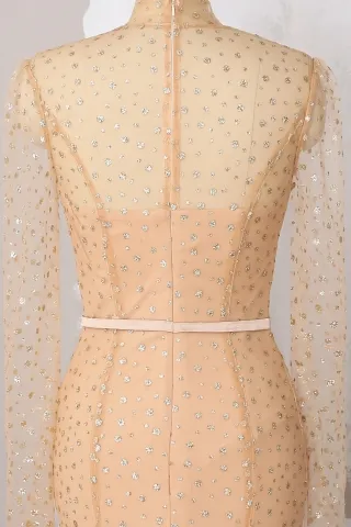 gold sheer long sleeve custom prom dress