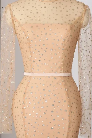 illusion glitter tulle champagne gold long sleeve prom dress