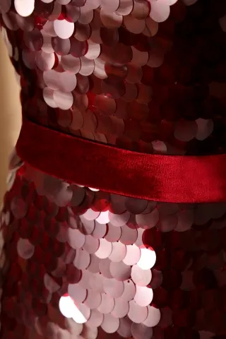 burgundy big fish scale sequin dress