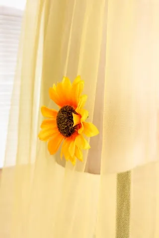 sunflowers sheer yellow long dress