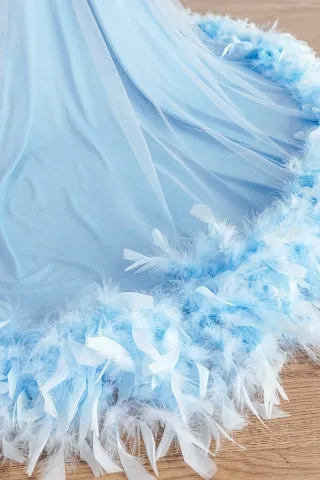 sky blue feather trimmed long train dress