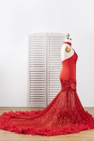 beaded lace glitter mesh feather gown