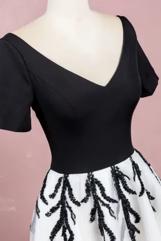 black bodice with V neckline and short sleeves