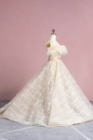 champagne glitter mesh feather ball gown
