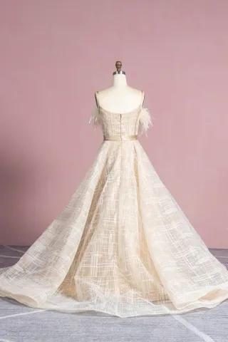 striped pattern champagne glitter mesh unique ball gown with feather neckline