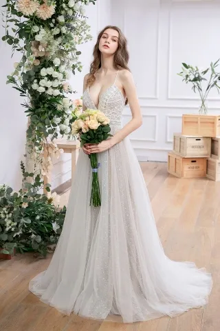 oyster lace starry tulle v neck informal bridal dress