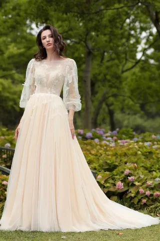 Champagne Tulle Wedding Dress with Illusion Lace Long Sleeves  Pretty  wedding dresses, Tulle wedding dress, Dream wedding dresses