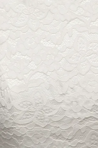ivory lace bridal dress