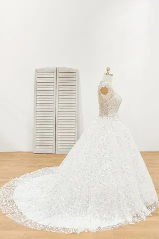 beaded basque waist sparkly ball gown wedding dress