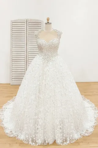 heavily beaded queen anne neck sparkly bridal ball gown