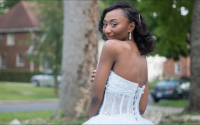 princess ball gown