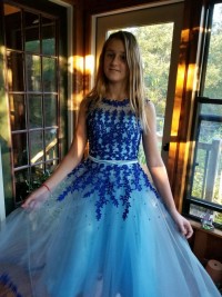 illusion jewel neckline dress
