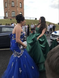 very expensive prom dress
