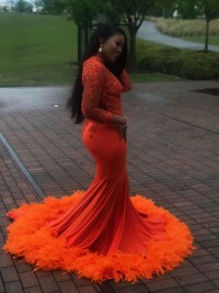 dark orange dress with feathers bottom