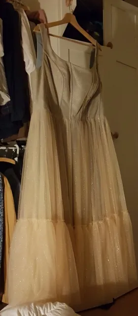 dream wedding dress
