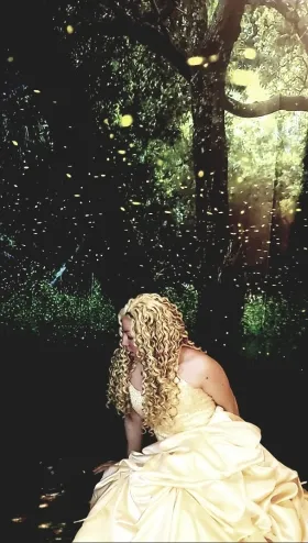 Taylor Swift gown