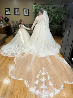 beautiful wedding dress and veil