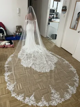 the dress and veil are simply beautiful