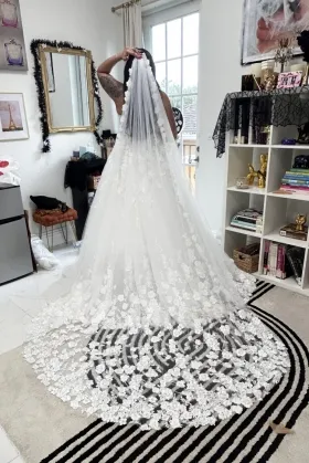 wedding dress with a veil